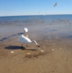Paul Veltri - Facebook