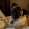 Paul Vera 830 - @pv19673 - TikTok