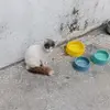 paul vera - @paul.vera34 - TikTok