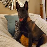 Paul Veres - @paulmveres - Instagram