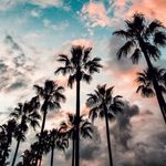 Pkms'17 - @paulvesper01 - Instagram