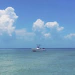 Paul Vignes - @pjvignes - Instagram