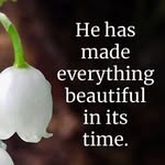 Paul Vignesh - @paul.vignesh333 - Instagram