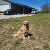 Pauletta Vineyard Dusterberg - @pauletta.vineyard - TikTok