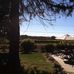 St Paul Mountain Vineyard - Facebook