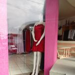 ana paula visentin - @anapaulavisentin - Instagram