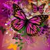 Paula Vowell - Facebook