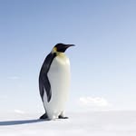 Paul Waddle - @paulw_addle - Instagram