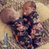 paulawagerscaynor - @paulawagerscaynor - TikTok