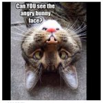 Paul Wagoner - @nanonneocel - Instagram