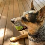 Paul R Waldo - @paulrwaldo - Instagram