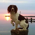 Paul Waldowski - @paulwaldowski - Instagram