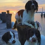 Paul Waldowski - @pwaldow123 - Instagram