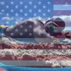 Paul walnuts - @pauliewalnuts5757 - TikTok