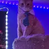 paulywalnuts13 - @paulywalnuts13 - TikTok