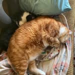 Scott Paul Wampler - @scottiep1983 - Instagram
