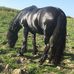 Pauline Warhurst - Facebook