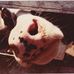 Paul Warnick - Facebook