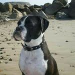 Paul warwick - @66wozzer - Instagram