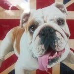 Paul Warwick - @pwarwick - Instagram