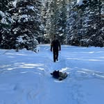 Paul Wasicka - @paulwasicka - Instagram
