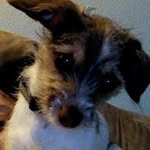 Paul Wathen Sr. - @wathensr.paul - Instagram