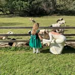 Paula Weakley Meyer - Facebook