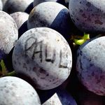 Weingut Paul - @paulweingut - Instagram