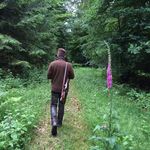 Paul Weiser - @zanderfreak3000 - Instagram