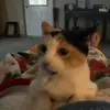 Paula Weisinger - @paula.weisinger - TikTok