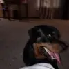 paulaweisinger349 - @paulaweisinger349 - TikTok