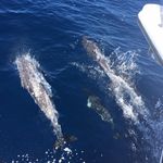 Paul Weldon - @weldon.paul - Instagram