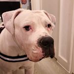 Paul Wenham - @wenham_paul - Instagram