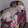 Paul Wenham - @paul.wenham7 - TikTok
