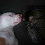 Paul Wermuth - @paul_wermuth - Instagram