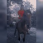 Paulo Wermuth Maciel - @paulowermuthmaciel - Instagram