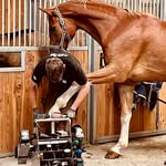 Paul Wesner - @pw_farrier - Instagram