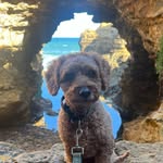 Jonas Paul Westermann - @lil_nip_2 - Instagram