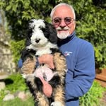 Paul Westin - @paul.westin.12 - Instagram