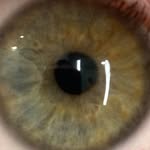 Paul Wheat - @dr.pshe - Instagram