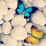 paul wheatland - @paulwheatland - Instagram