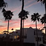 Paul Wheatley - @paulwheatley152 - Instagram