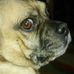 Paul Wheelock - Facebook