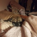 Paul Wheelock - @paul.wheelock.545 - Instagram