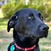 Paul Whitt - @paul.whitt - TikTok