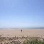 Paul Whittingham - @fpwhittingham11 - Instagram