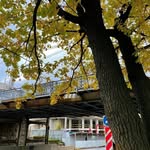 Paul Wichmann - @pau_lwichmann - Instagram