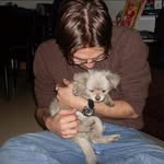 Paul Willhite - @paulwillhite - Instagram