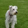 Paula Willhite - @paula.willhite - TikTok