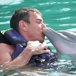 Paul Williams - @paulwilliams7993 - Instagram